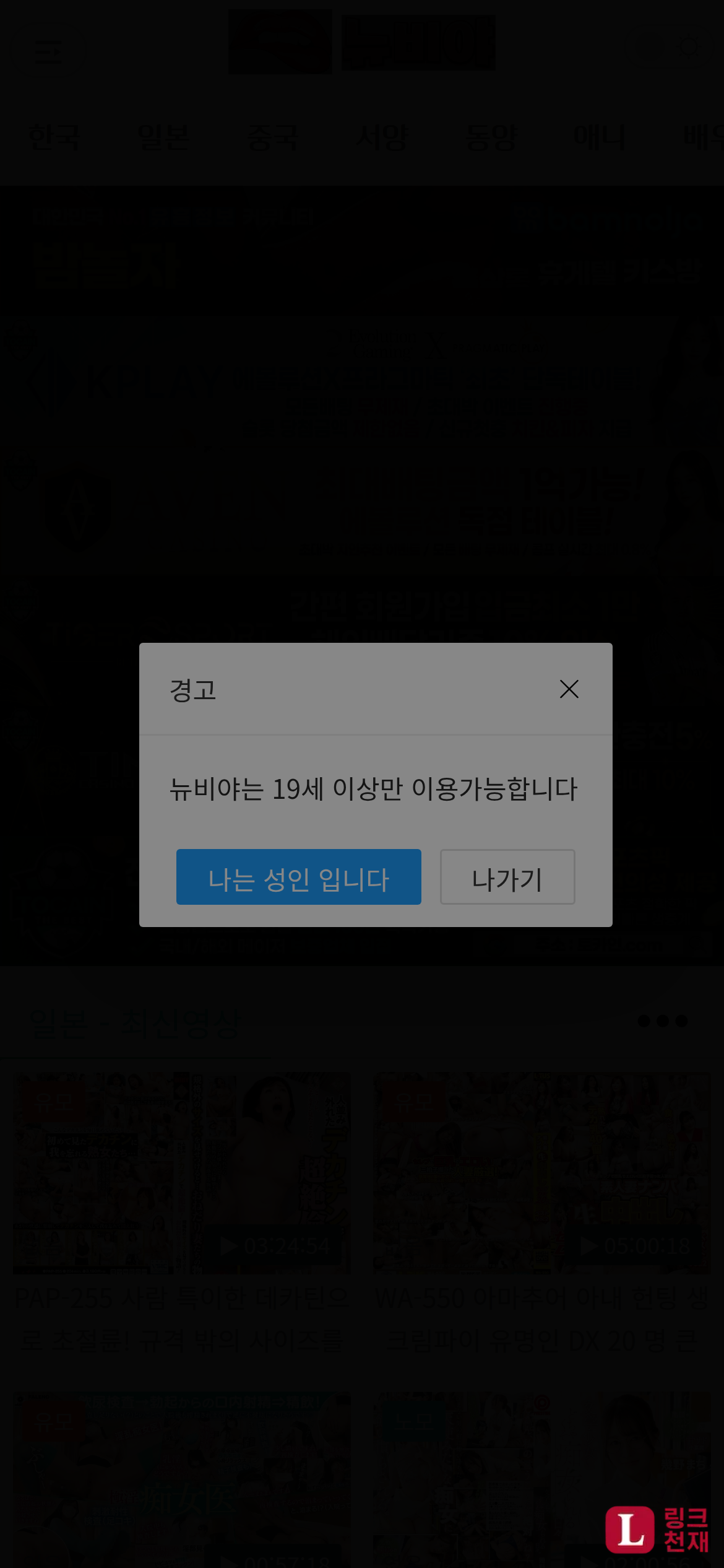 뉴비야-사이트 썸네일