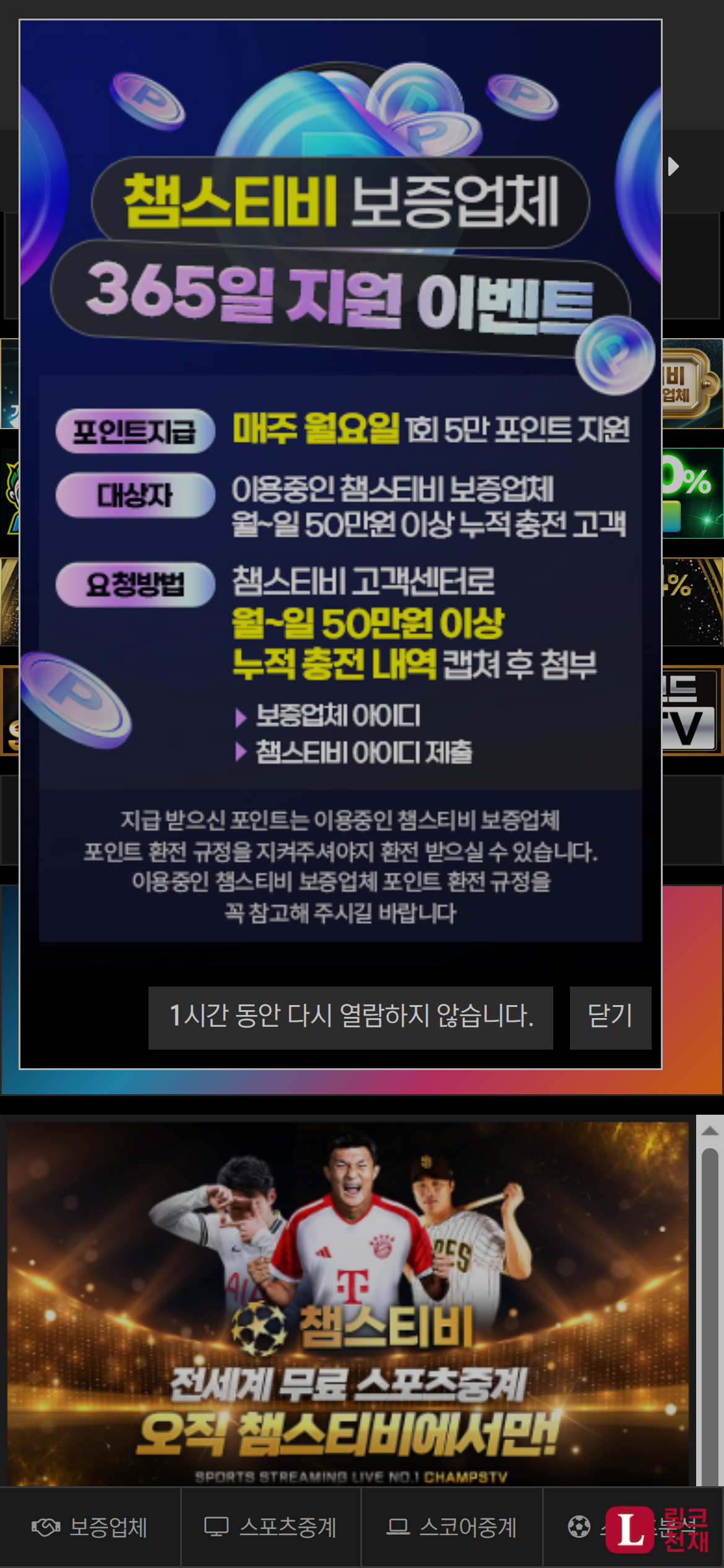 챔스티비-사이트 썸네일