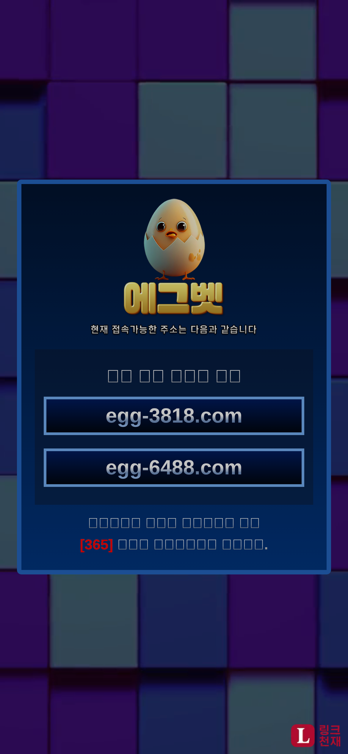 에그벳-사이트 썸네일